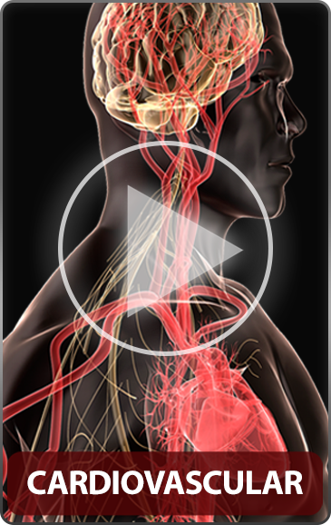 Cardiovascular - Disease Movie